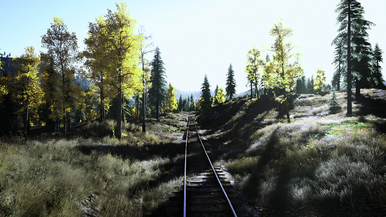 Sunlight filters through trees along a peaceful railway track in nature