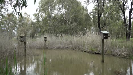 Vogelkästen-Am-Teich-An-Einem-Windigen-Bewölkten-Tag-In-Der-Natur