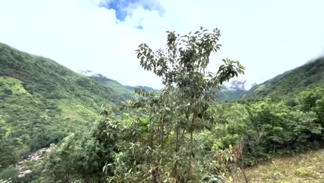 Immergrüner-Wald-Auf-Den-Hügeln-Und-Bergen-In-Der-Nähe-Von-Meghalaya-In-Indien