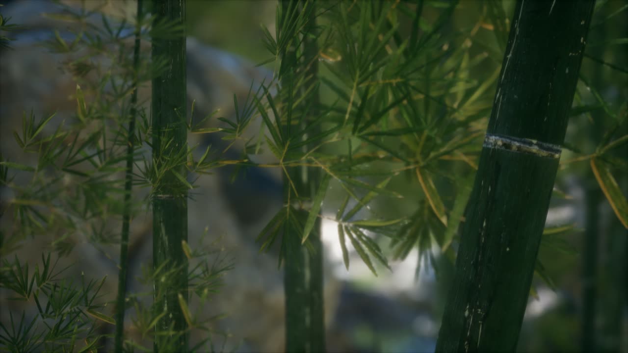 초록색 대나무 숲 배경