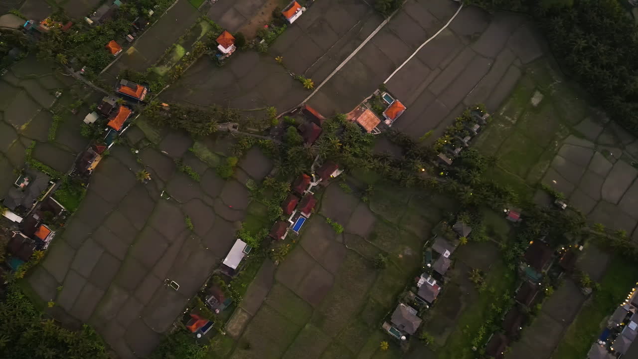 오염 된 공기 아래 저녁에 ubud 마을의 습지에서 호스