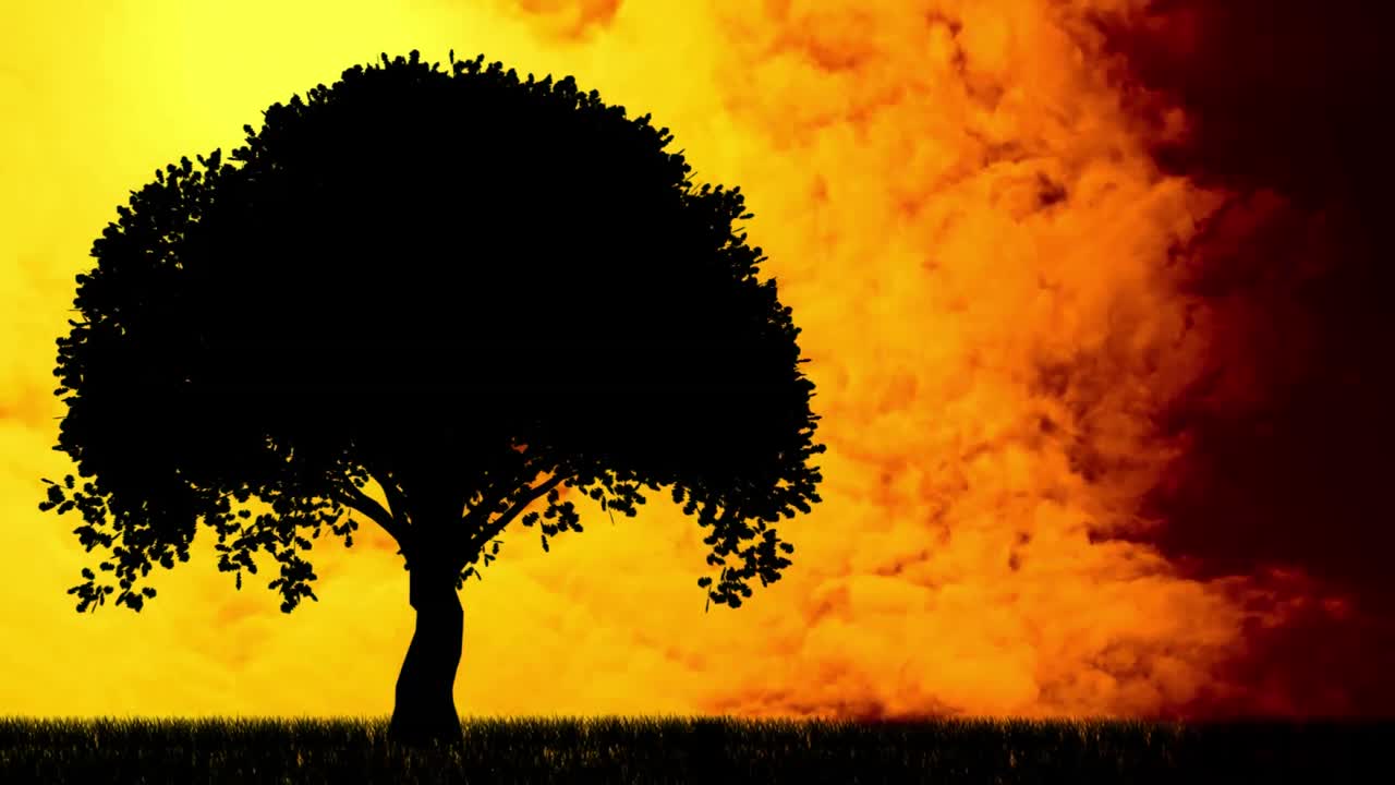 animación de nubes anaranjadas y amarillas sobre la silueta negra de un árbol al atardecer