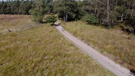 Hohe-Drohnenaufnahme-Eines-Mannes,-Der-Auf-Einem-Sandweg-In-Der-Natur-Spazieren-Geht