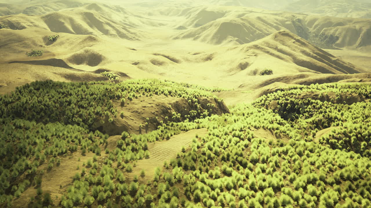 Lush green landscape featuring rolling hills and dense forests at sunrise