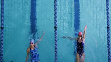 swimmers training in a swimming pool