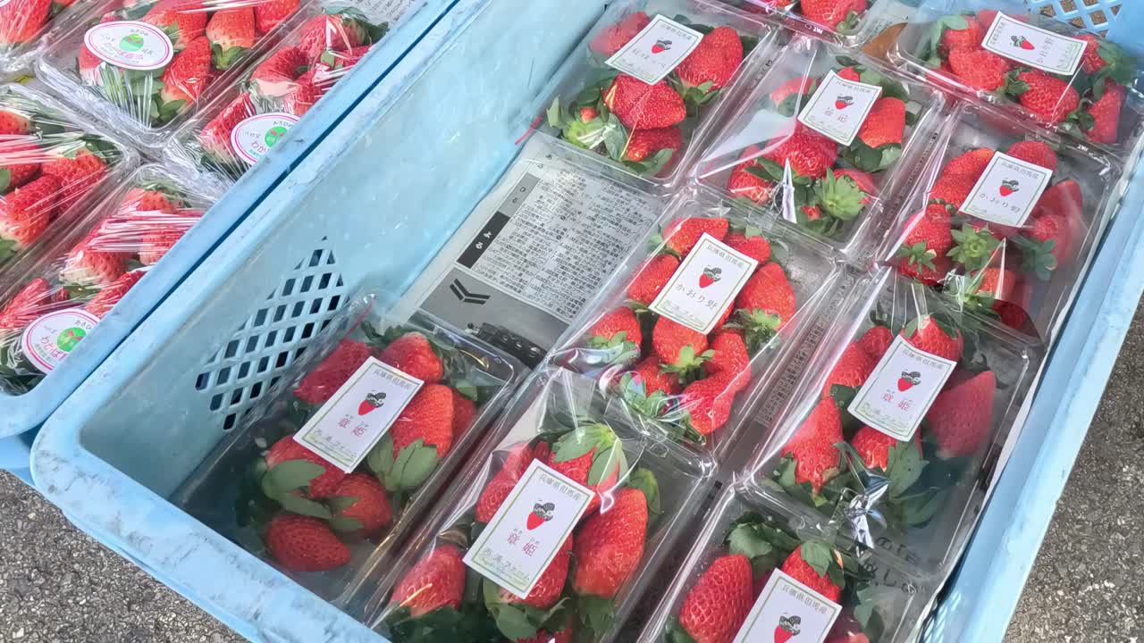 신선한 딸기 상자를 빛에 열기