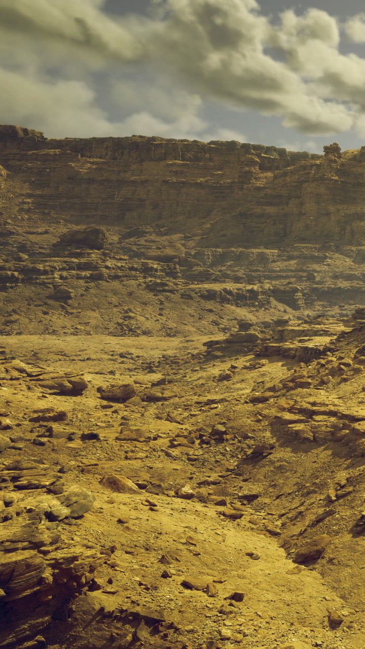 Exploring a vast golden desert landscape under a bright sky
