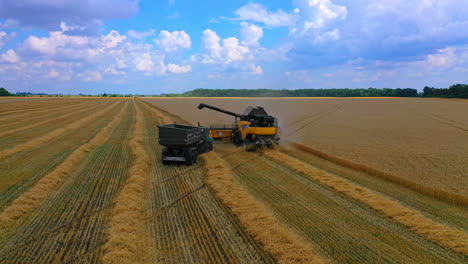 grain harvesting equipment in the field. harvest time. agricultural sector