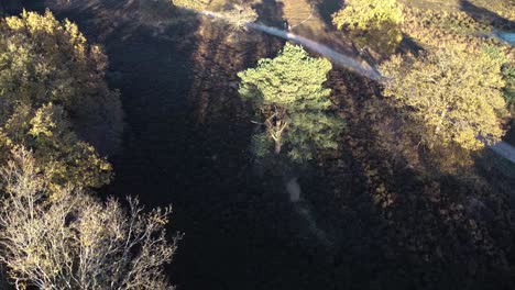 Nature-from-above-in-the-province-of-Drenthe,-Netherlands