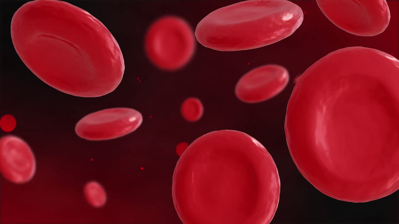 animación de micro de células rojas de la sangre sobre un fondo negro