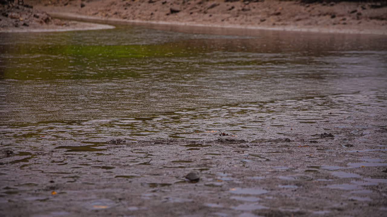 A River With Decreasing Water Levels and a Gentle Current Following the Rain - Timelapse