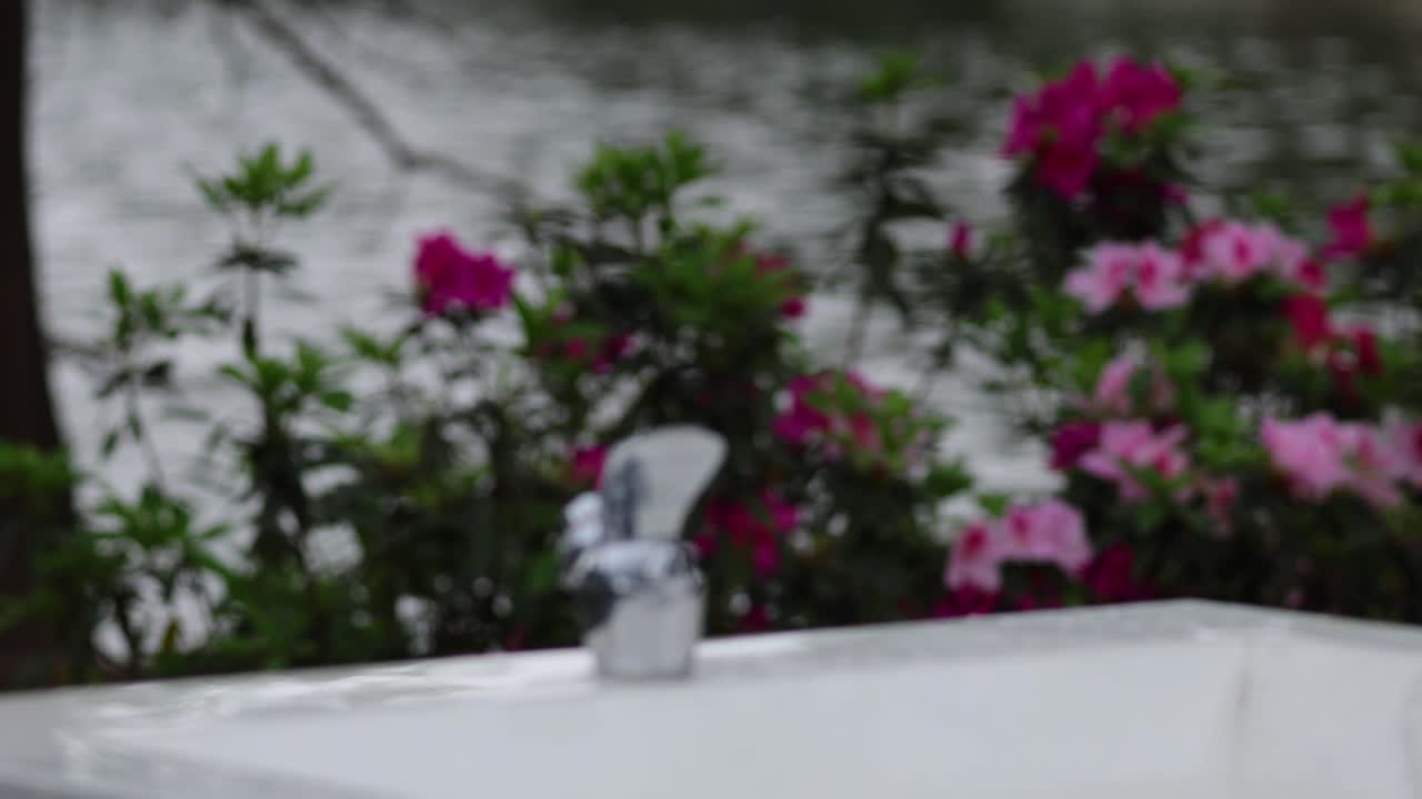 물 프를 닫는 손의 시스