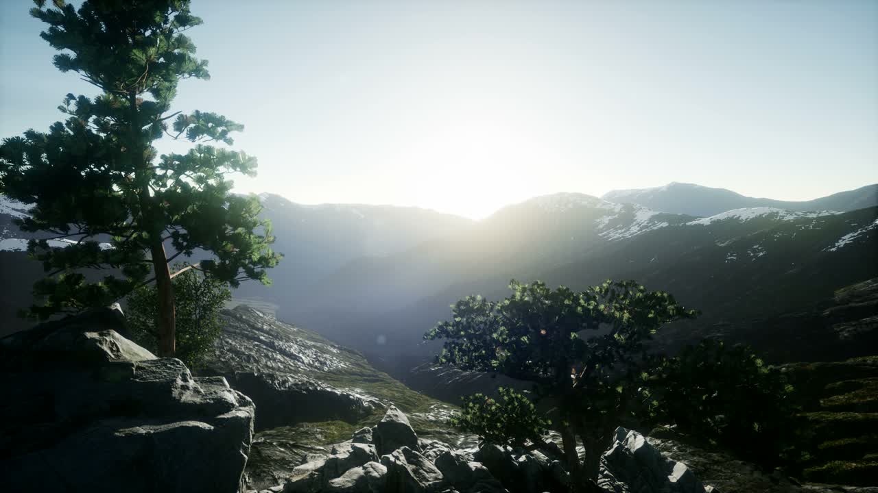 rayos de sol a través de los árboles