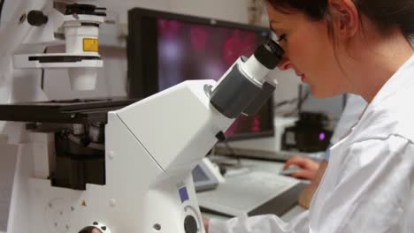 scientist looking through a microscope