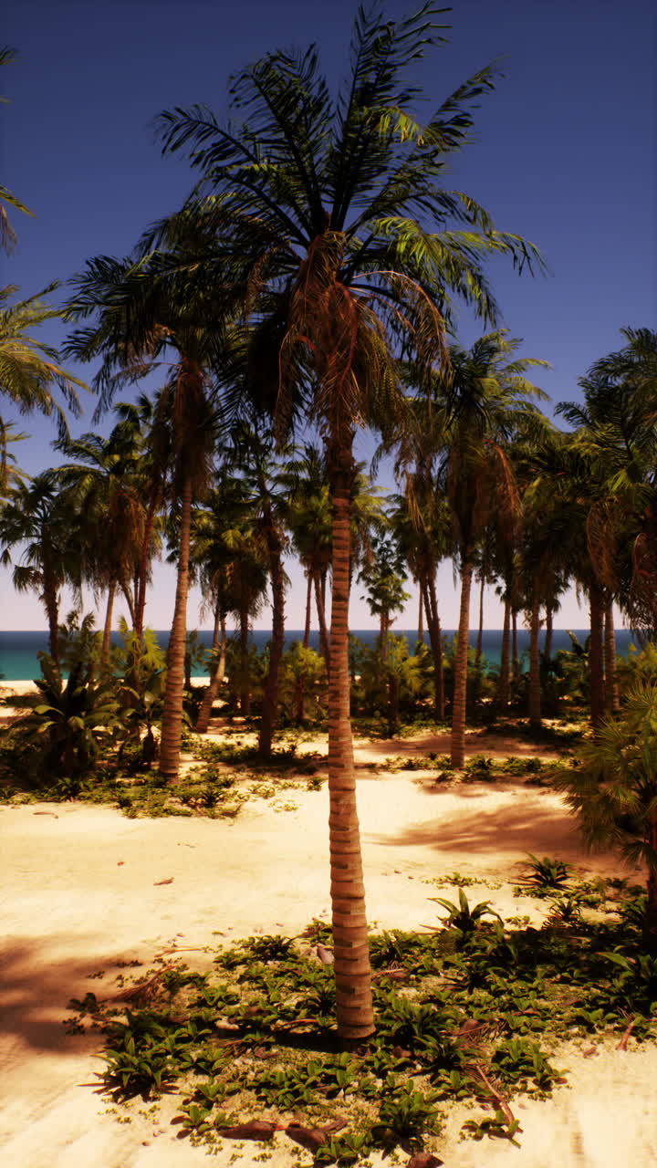 puesta de sol en la playa tropical