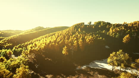 aerial drone view of a mountain forest with colorful autumn trees