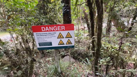 a warning sign amidst dense rainforest vegetation in port douglas, australia, highlighting potential hazards in the natural environment