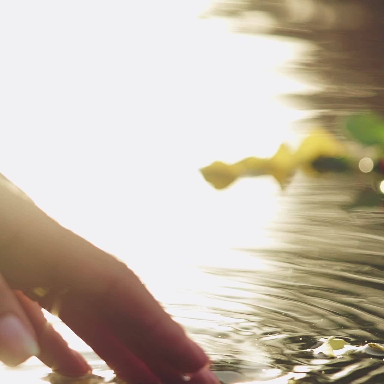 Female hand sliding on the water surface with rose petals. Slow motion.