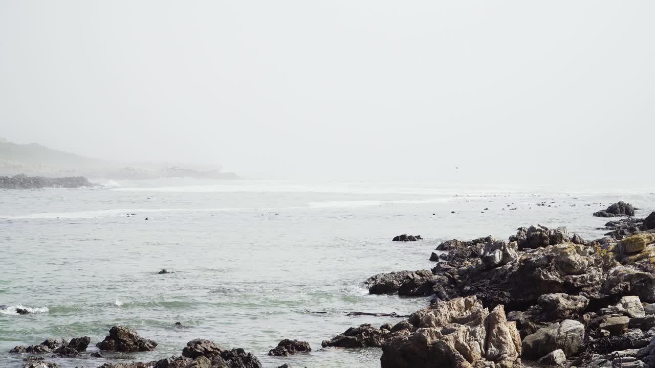 туманный день и отлив на скалистом побережье с серым небом и небольшими волнами