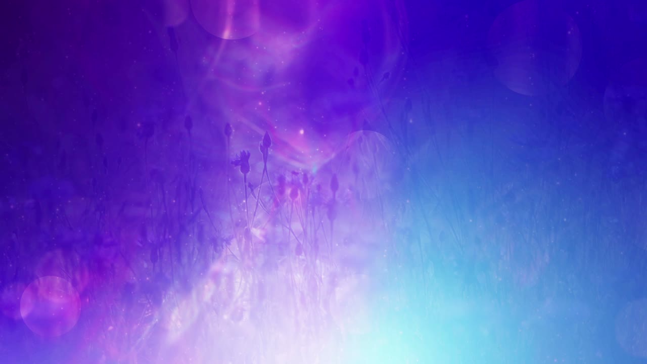 diseño floral brillante y colorido