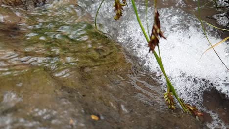 Corriente-De-Agua-De-Manantial-De-Montaña-Que-Fluye-Por-Enormes-Losas-De-Piedra-Arenisca-De-Roca-Con-Burbujas-Que-Se-Arremolinan-En-Agua-Potable-Cristalina,-Meditación-Tranquila-Y-Pacífica-Calmante-Al-Aire-Libre-Imágenes-De-La-Escena-De-La-Naturaleza