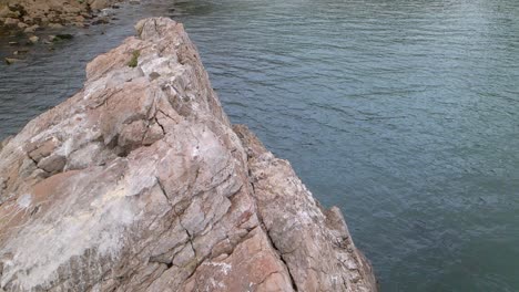 Slow-motion-shot-of-black-cormorant-bird-flying-away-from-rocky-peak-of-mountain