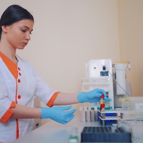 woman checking test tubes