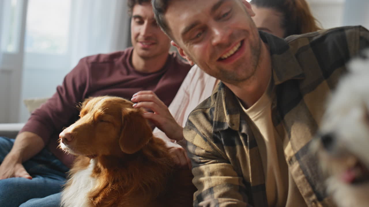 Carefree dog owners relaxing together at home closeup. People caressing puppies