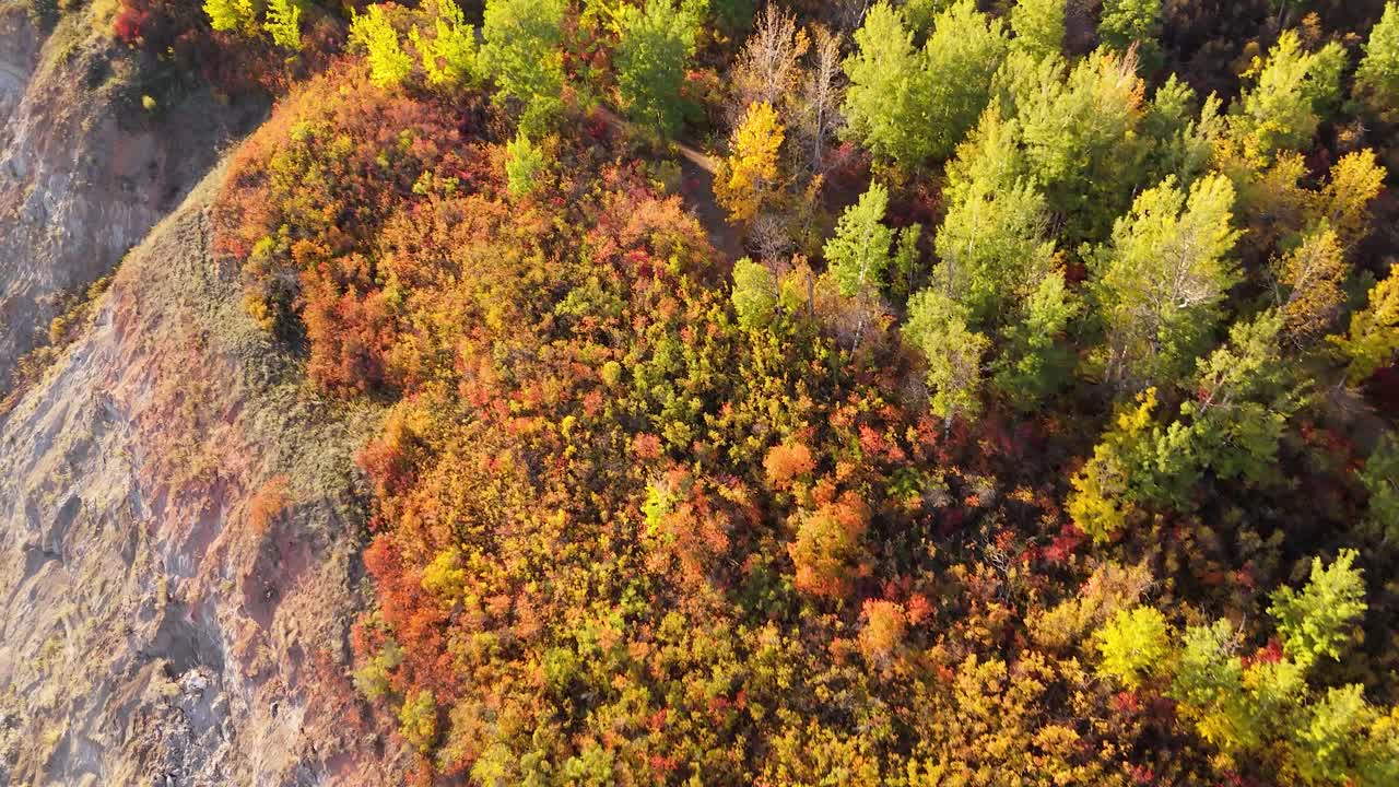vista de avión no tripulado de los senderos de devon en otoño con diferentes colores