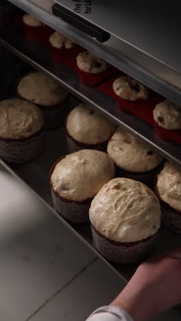 preparando el pan de pascua en el horno