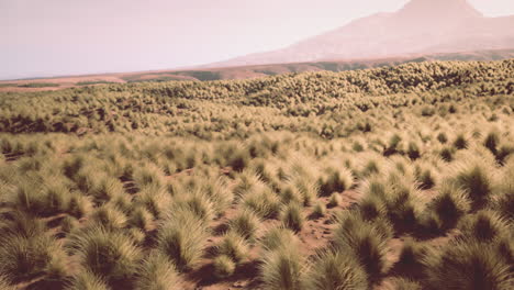 Red-Rock-Canyon-Nationalpark