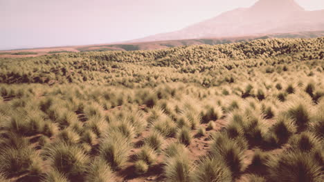 red rock canyon national park