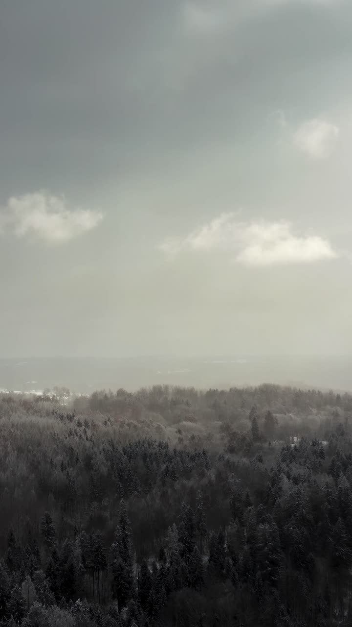 Vertical aerial drone view of dramatic sky over the forest with sun rays breaking through the clouds over a forest in winter landscape.