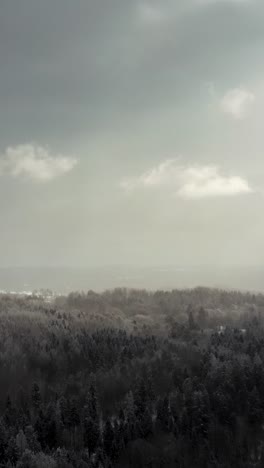 vertical aerial drone view of dramatic sky over the forest with sun rays breaking through the clouds over a forest in winter landscape.