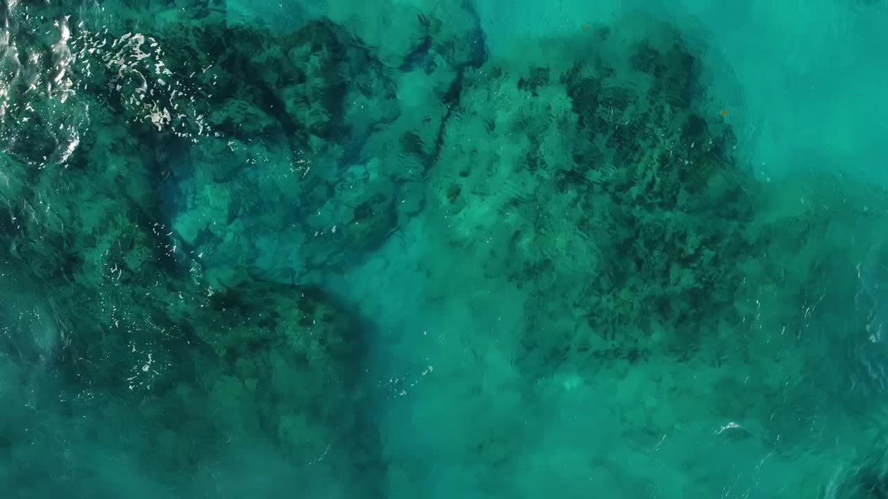 полет над морскими черепахами на тропическом мексиканском острове исла-муморес