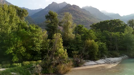 a wide pan out reveals tall trees as the focus, with mountains in the background and a glimpse of the riverbank in the bottom right corner, shot in ansola, italy.