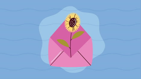 sunflower garden flower in envelope animation