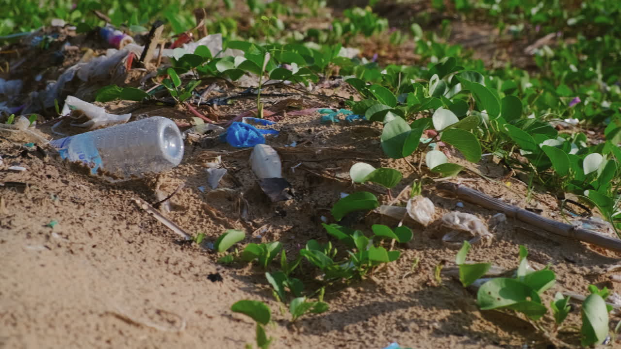 Inquinamento da plastica su una spiaggia