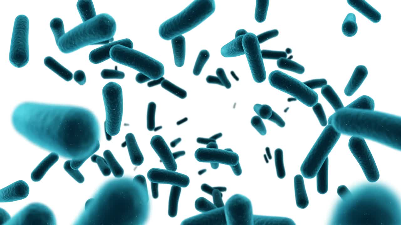 células de bacterias generadas digitalmente que fluyen contra un fondo blanco