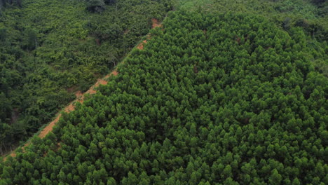 Deforestation-on-tropical-mountainside,-agricultural-expansion;-aerial