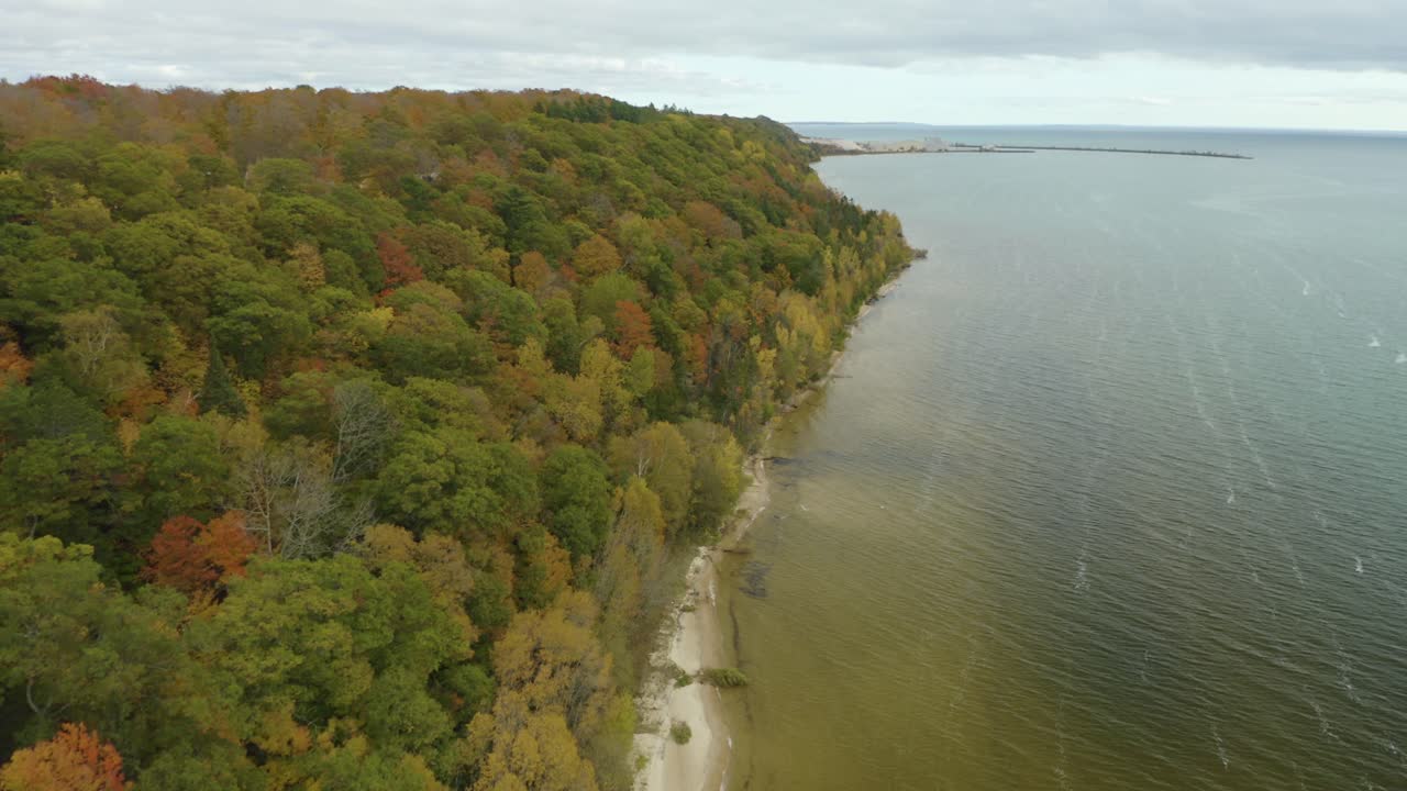 toma aérea de seguimiento del follaje de otoño a lo largo de la costa
