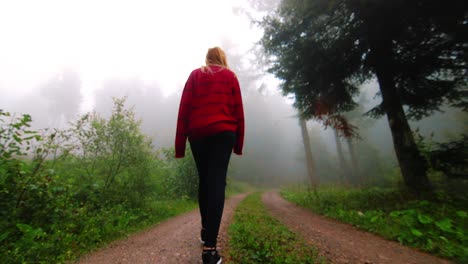 In-Zeitlupe-Geht-Ein-Blondes-Mädchen-In-Einem-übergroßen-Pullover-Von-Hinten-Aus-Einem-Niedrigen-Winkel-Durch-Einen-Nebligen-Waldweg