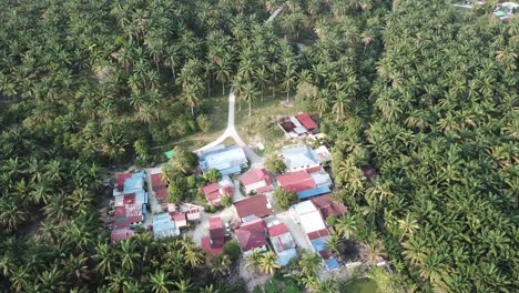 small village in oil palm tree.