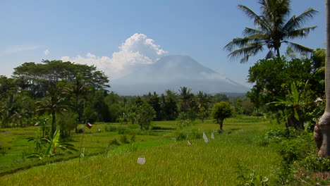 A-Breeze-Blows-Through-A-Clearing-In-A-Lush-Tropical-Rain-Forest