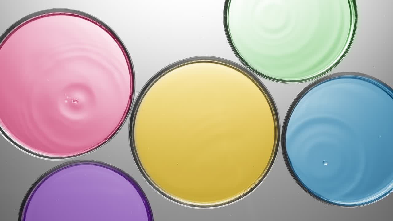 다채로운 액체와 함께 여러 페트리 접시에 떨어지는 방울