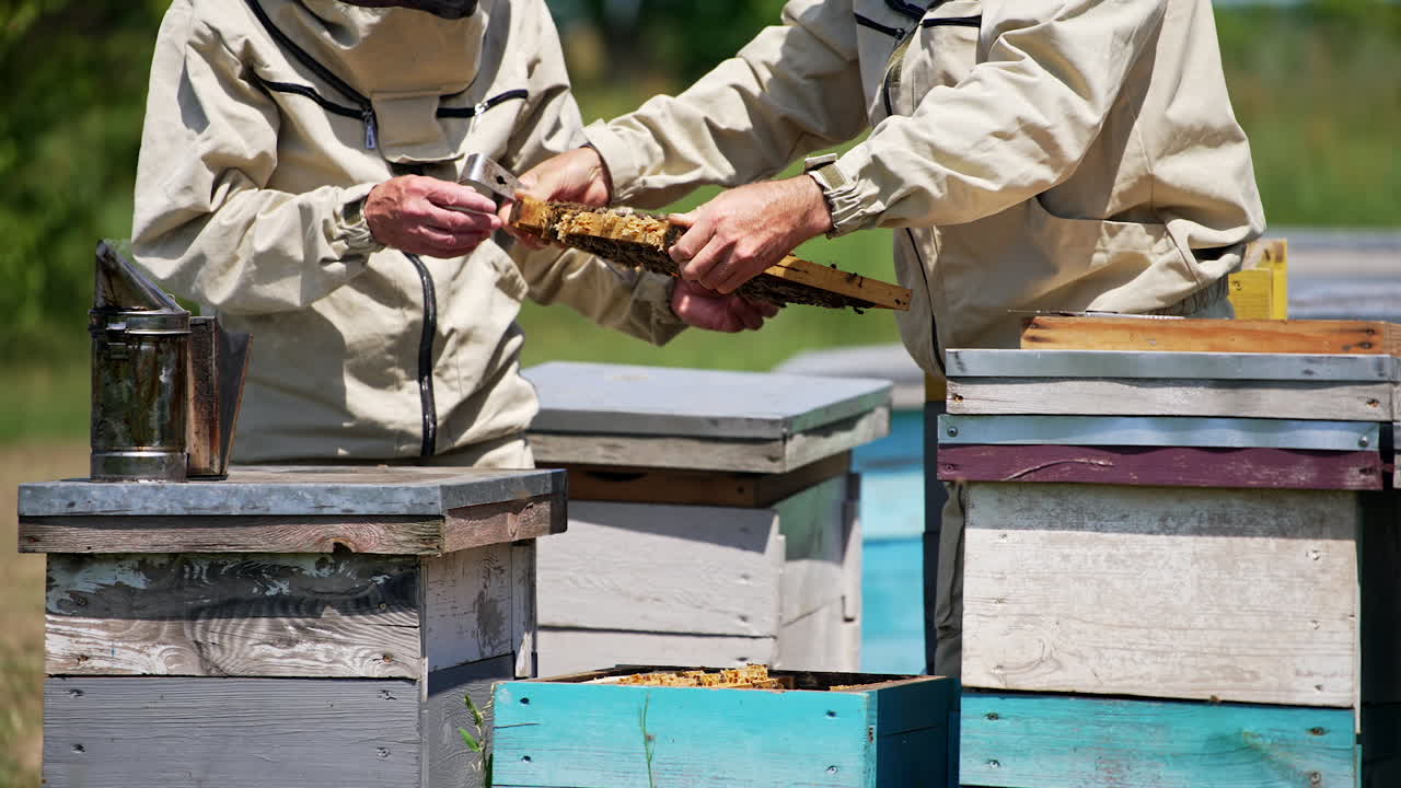 Unrecognized men in protective clothes checking up the frame turning it in hands. Beekeepers using tools for work in apiary. Blurred backdrop.