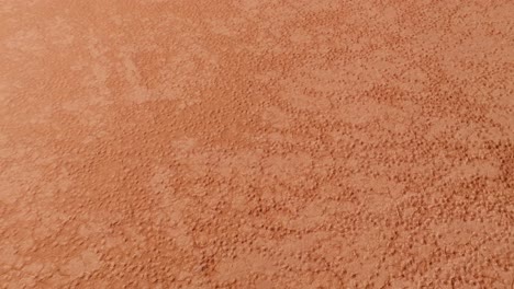 aerial view of a person walking on cracked desert land