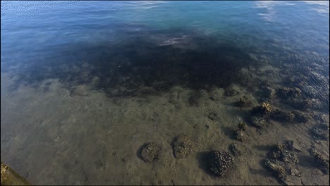 shadows move over rocks in clear water