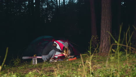 tourists prepare dinner beside illuminated tent in dark forest during night camping, surrounded by tall trees and grassy field as they cook meal together on portable stove near calm wilderness