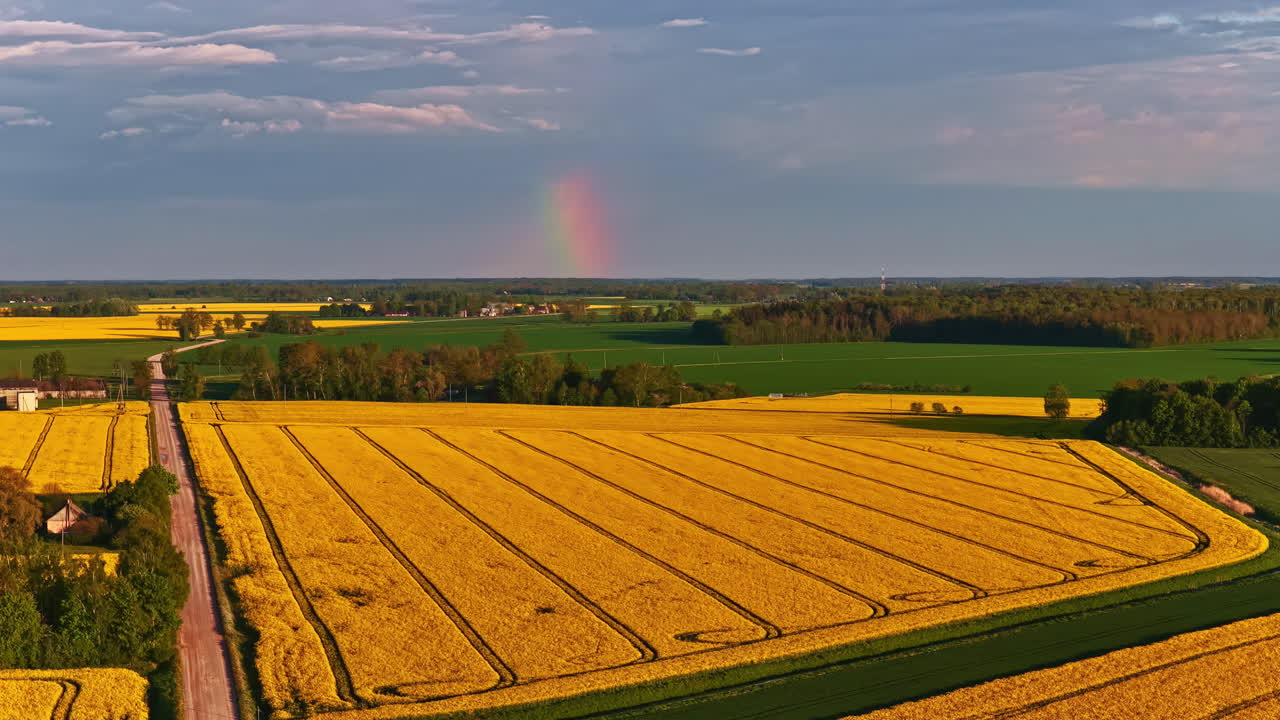 Colorful rainbow starts to appear over yellow-green agricultural fields and wide landscape
